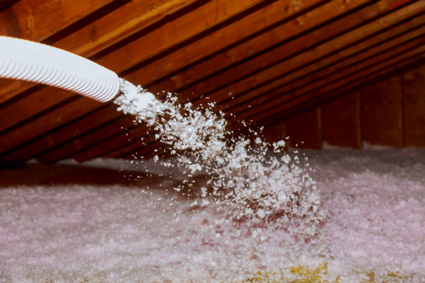 Professional Insulation Contractor in Edneyville, NC
