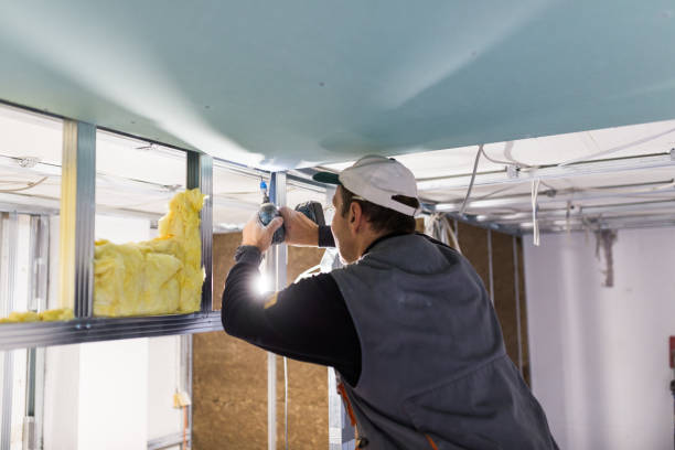 Best Insulation Contractors for Homes  in Edneyville, NC
