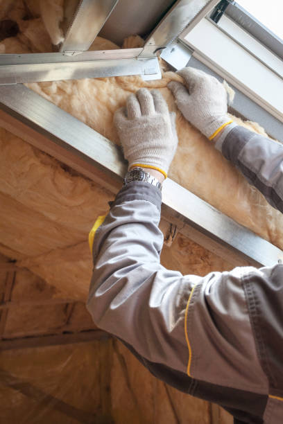 Best Residential Insulation Services  in Edneyville, NC