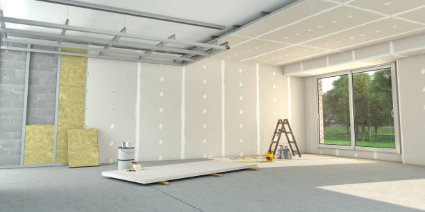 Best Professional Insulation Contractor  in Edneyville, NC