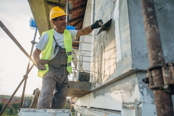 Best Insulation Removal  in Edneyville, NC