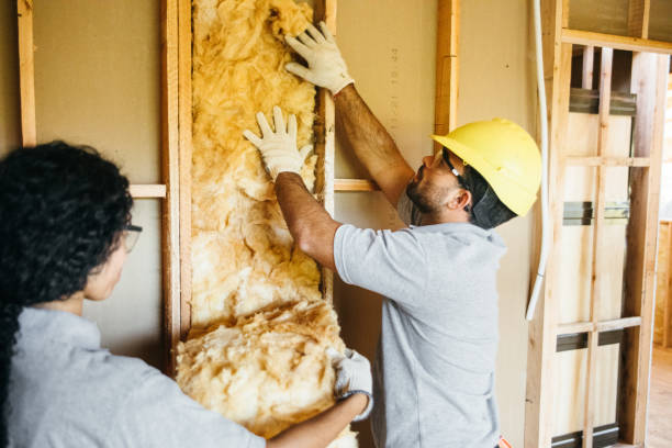 Best Insulation Repair Services  in Edneyville, NC