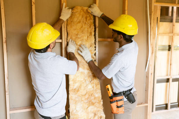 Best Soundproof Insulation Installation  in Edneyville, NC