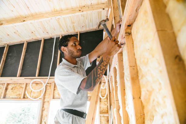Best Blown-in Insulation  in Edneyville, NC