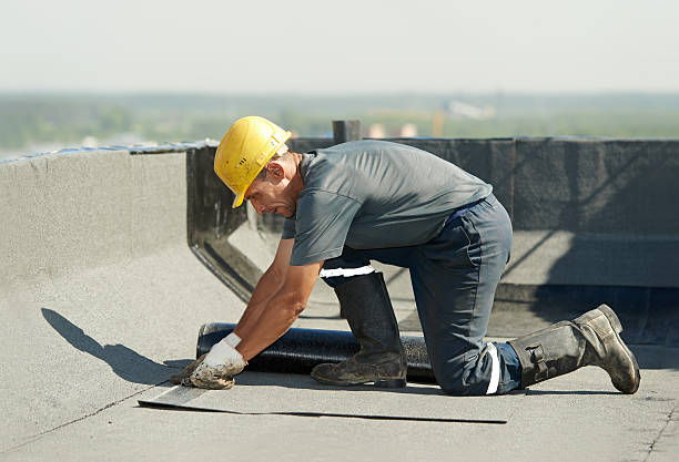 Best Spray Foam Insulation  in Edneyville, NC