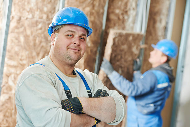 Best Best Insulation Companies  in Edneyville, NC