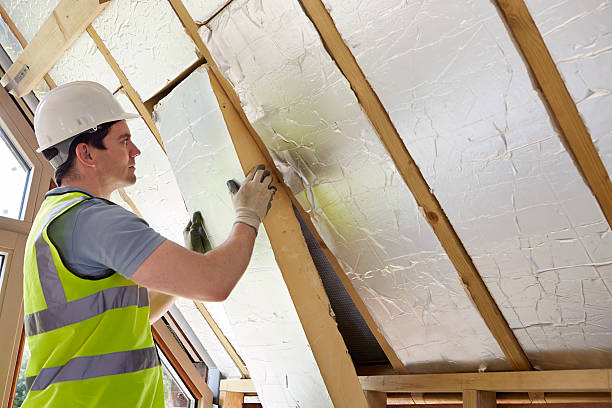 Best Insulation Inspection Services  in Edneyville, NC