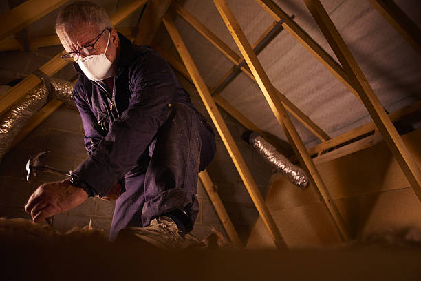 Best Insulation Contractors for Homes  in Edneyville, NC
